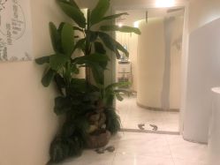 -健身堂科技美肌SPA