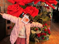 -LES ELITES 英集荟(南京西路店)