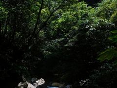 -西岭雪山大飞水景区