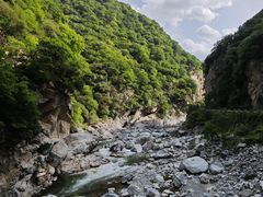 -黑河国家森林公园