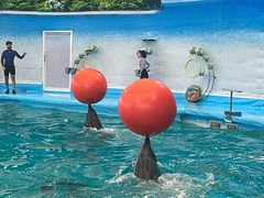 -尼莫海豚馆