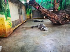 -西安秦岭野生动物园