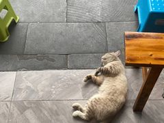 -老街杂酱面(东升街店)