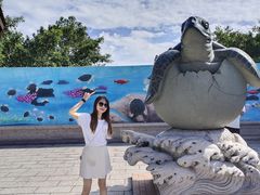 -广东惠东海龟国家级自然保护区