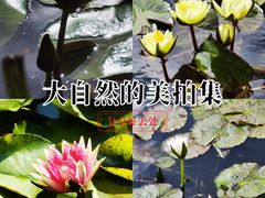 -国家植物园南园