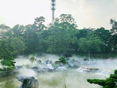 -东莞植物园