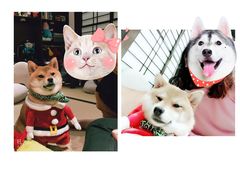 -逗柴咖啡屋·狗咖猫咖宠物桌游