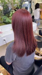 -GANO HAIR 
