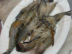 -牛排王糟粕醋火锅(海甸分店)