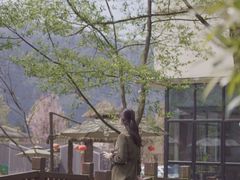 -龙苍沟森林公园