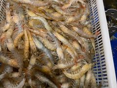 -渔家大院·地道威海菜(石岛店)