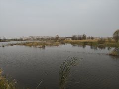 -黄沙古渡原生态旅游区