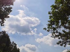-田心森林公园