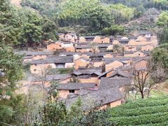 -杨家堂村