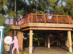 -宝安西湾红树林湿地公园