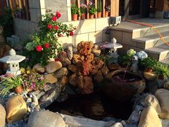 -天正河鲀·河豚亭(大连店)