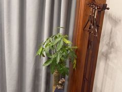 -文涵小院·邻里厨房