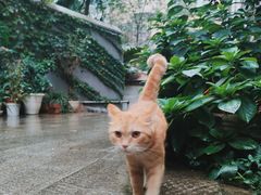 -懒鱼时光馆(沙坪坝店)