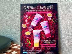 -Blueglass酸奶(财富购物中心店)