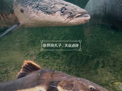 -青青世界