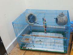 -甲乙果 美术书法(通州校区)