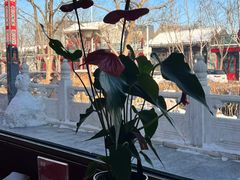 -满堂·烤鸭店·北京菜(鼓楼店)