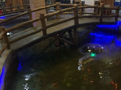 -大桥道食品商店(咸阳路店)