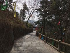 -九皇山景区