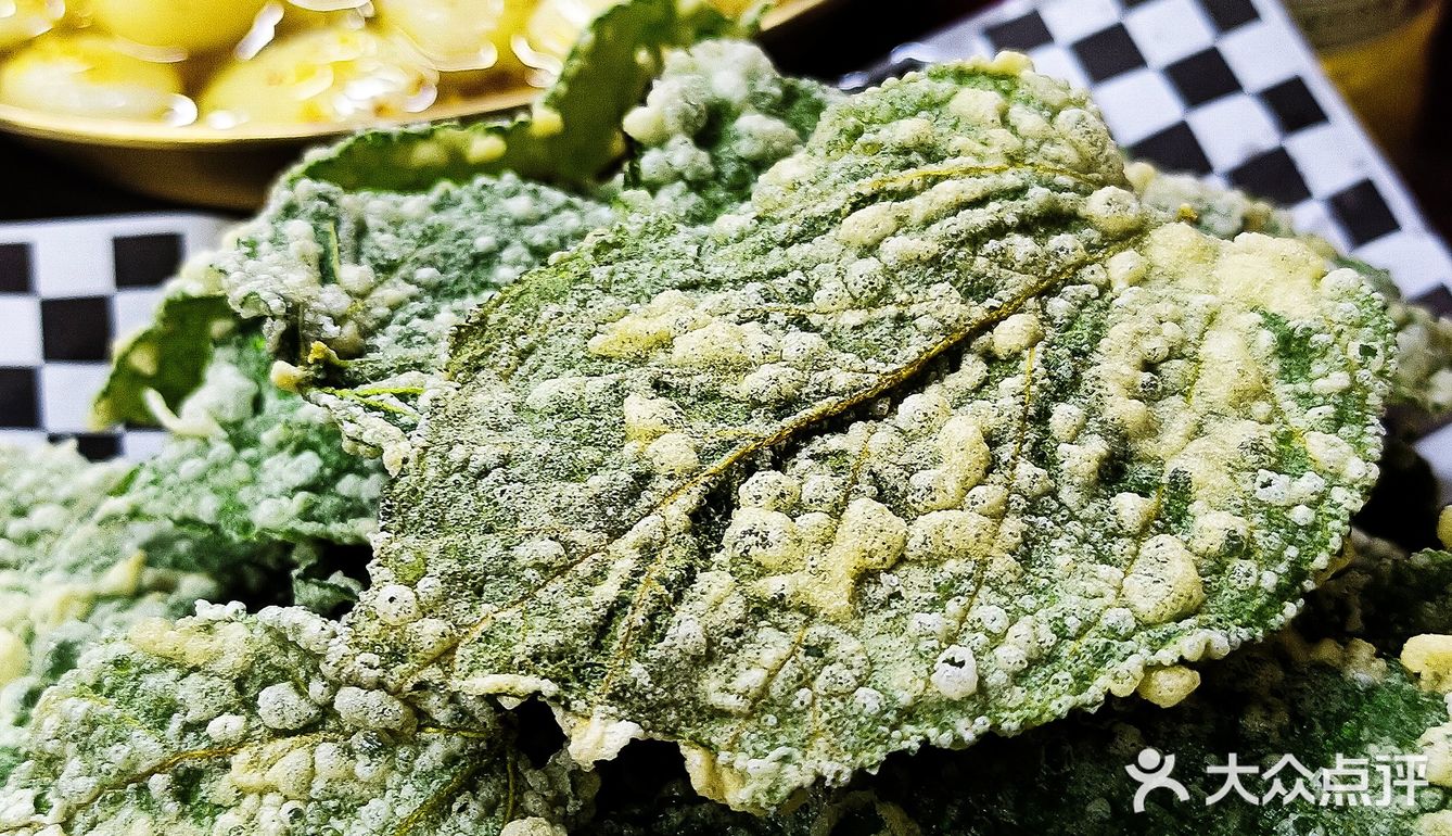 风林火山又又又上新啦！