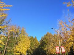 -大连理工大学(凌水校区)