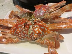 -越百海海鲜蒸锅(乐山店)