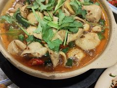 肥肠豆腐煲-郑件洋芋饭庄