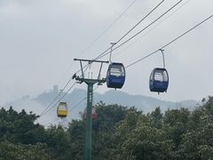 -缙云山景区