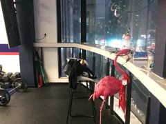 -F45 TRAINING健身工作室(体育中心店)