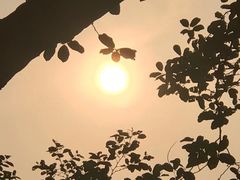 -广州市白云山风景名胜区
