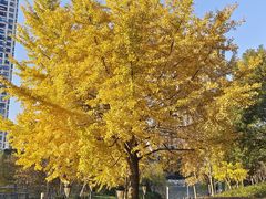 -苏州河梦清园环保主题公园