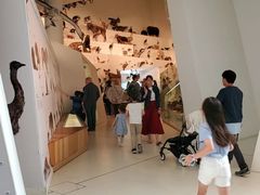 -墨尔本博物馆(Melbourne Museum)