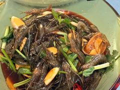 -沪依小酒馆心意菜