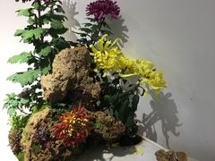 -汇龙潭
