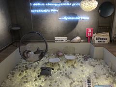 -Such A Cafe(798艺术园区店)