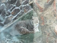 -青藏高原野生动物园