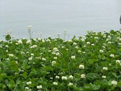 -上海滴水湖皇冠假日酒店