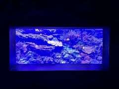 -西雅图水族馆
