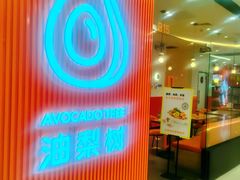 -油梨树 AVOCADO TREE(亮马桥店)