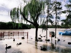 -上海野生动物园