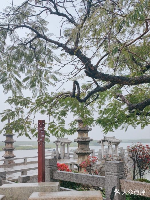 洛阳桥图片