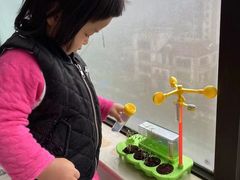 -黄浦乐烁龙鱼宝贝托育园(海潮路校区)