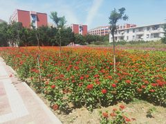 -兰州大学(榆中校区)