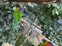 -南宫五洲植物乐园