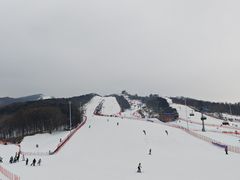 -东北亚滑雪场